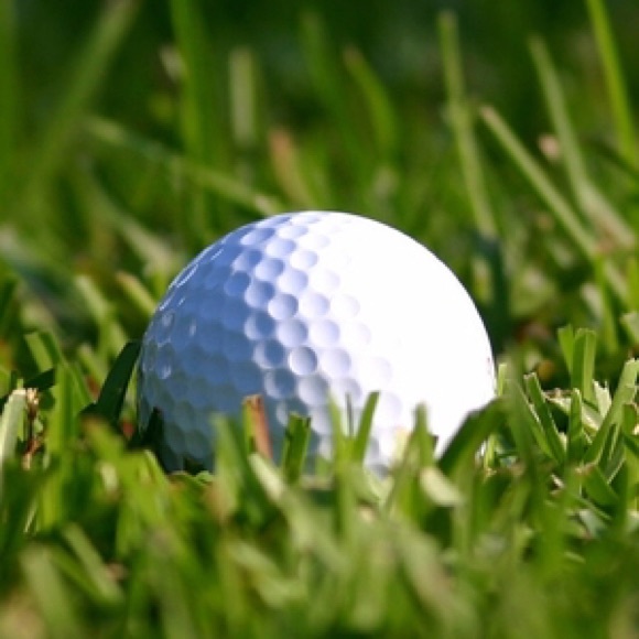 Meet your Posher, Anthony - Picture 1 of 1